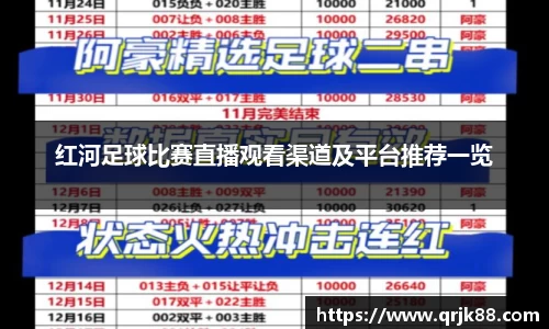 qy球友会